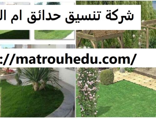 شركة تنسيق حدائق ام القيوين |0508690567| تزين حدائق